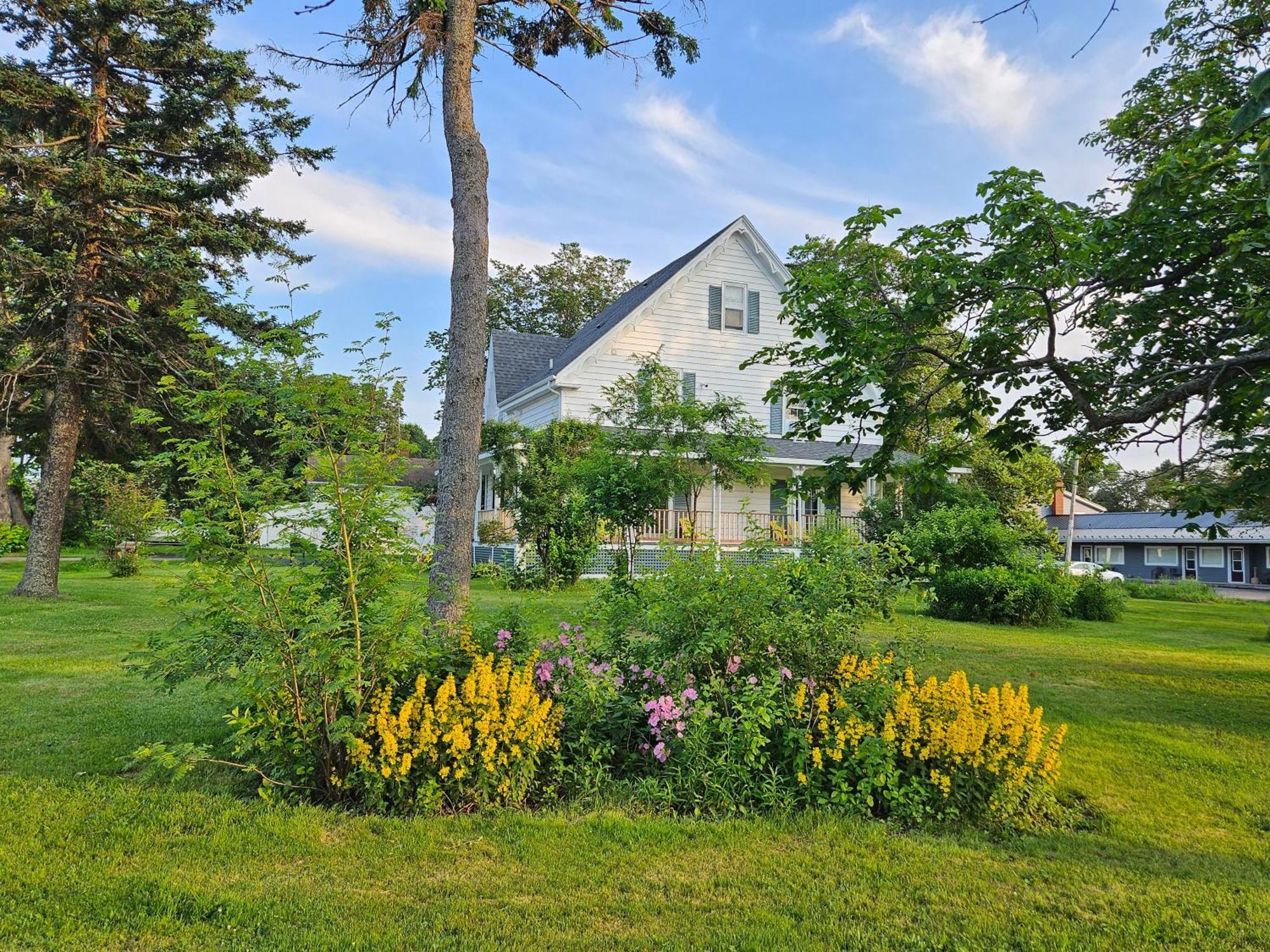 Sunflower Guest Suites Summerside Zewnętrze zdjęcie